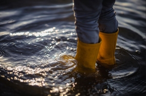 Boosting Positivity Through Water Damage Control Boosting Positivity Through Water Damage Control